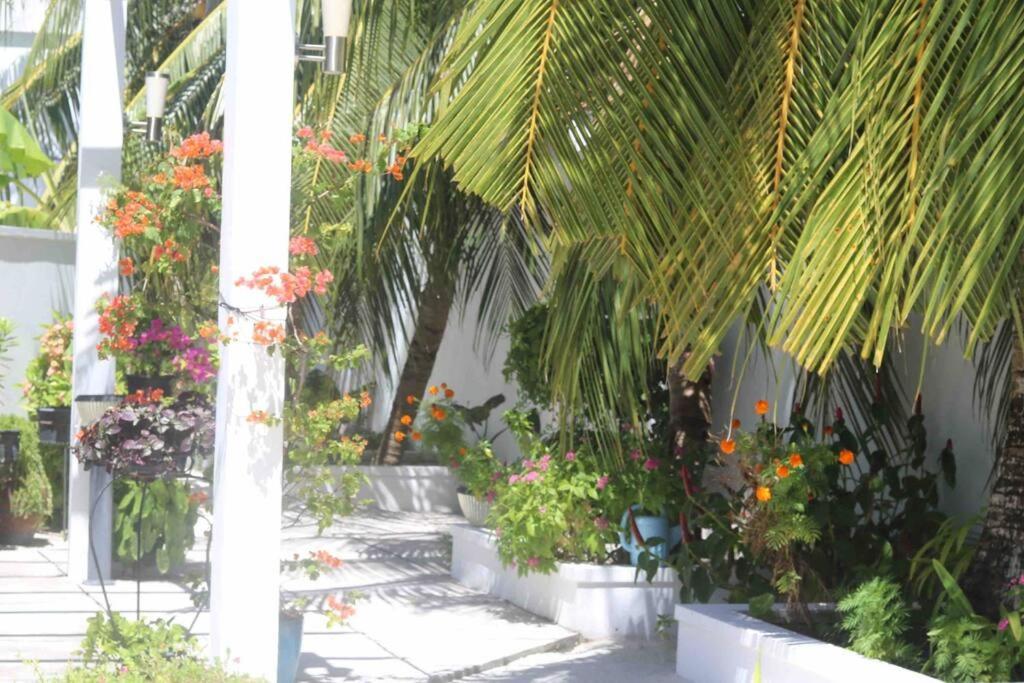 Fiyala Homestay Addu City Esterno foto